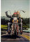 Poster David Mann Ghost Rider Poster, Wandkunst, Bilder, Leinwand, Malerei, Kunst, Dekor, Poster Und Drucke, Heimdekoration 50X70Cm Kein Rahmen