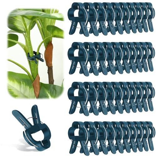 Giantree 40 Stück Pflanzenclips, Pflanzenklammern Pflanzenstützclip für Kletterpflanzen pflanzenclips Tomaten klammern für Pflanzen,für Unterstützen und Halten Garten Pflanzen Gemüsefrucht