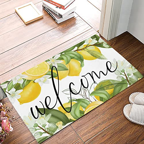 WZXKR Fußmatte Zitronen-Sommer-Fruchtblätter-Fußmatten Für Wohnzimmer, Teppiche, Küche, Badezimmer, Eingangs-Fußmatte Eingangs-Fußmatte Waschbare Fußmatte