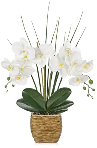 Oairse Orchidée artificielle en pot de 55 cm - Arrangement de fleurs artificielles phalaenopsis blanches avec panier tissé - Plante décorative pour la maison, le bureau, la table - Décoration florale