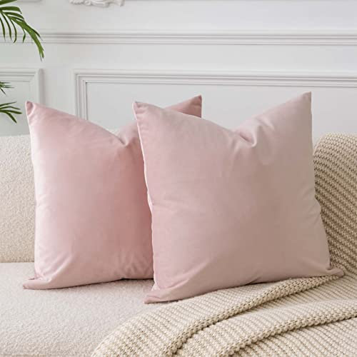 JUSPURBET Rosa Samt-Kissenbezüge 50cmx50cm 2er-Set für Wohnzimmer Couch Sofa Schlafzimmer Dekorative Quadratische Feste Weiche Kissenhüllen mit unsichtbarem Reißverschluss