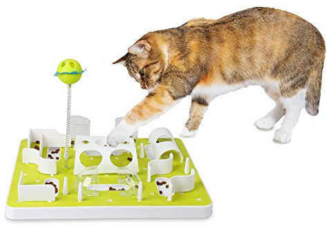 ALL FOR PAWS Interaktives Katzenspielzeug mit Leckerlibehälter & Katzenminze - Futterlabyrinth & Denkspiel für Kätzchen - Intelligentes Lernspielzeug für Katzen