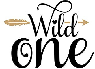 Bügelbild Aufbügler Geburtstag Wild One mit Pfeil in Flex, Glitzer, Flock, Effekt in Wunschgröße