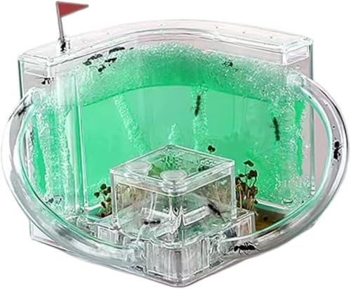 Ameisenfarm, Ameisenhaus, Ameisenburg, Ameisenstudio, Lebensraum, Ameisenfarm, Bildung und Lernen, Wissenschaft, Ameisennestfarm zum Lernen, Ameisenfarm für Erwachsene, Grün, 22 cm