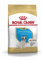 Royal Canin Trockenfutter für Welpen, französische Bulldogge, 10 kg