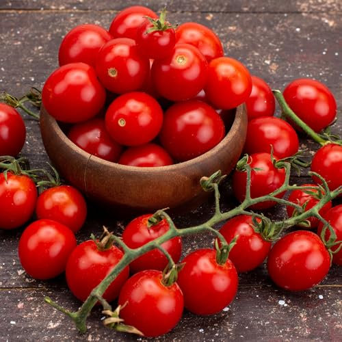 Tomato Tiny Tim Seeds – Dwarf Cherry Tomato for Pots, Containers & Small Spaces – Sweet, Juicy Fruit – Compact, Bushy Growth – Ideal for Kids – for Your Kitchen Garden