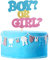 1 Packung Jungen oder Mädchen Cake Topper Geschlecht enthüllen Glitter Kuchen Dekoration blau rosa Babyparty Party Dekorationen Lieferungen