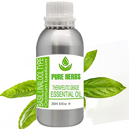 Pure Herbs Basilikum Linalool (Ocimum basilicum), reines und natürliches therapeutisches ätherisches Öl, 250 ml