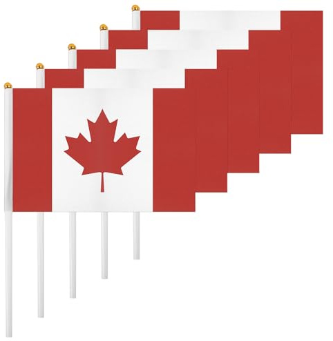 ASUNO Lot de 20 petits Canada 14 × 21 cm