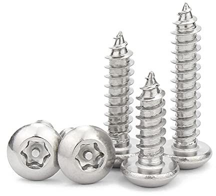 ANSIEDIO Vis Bois Torx - Vis Autotaraudeuses à Tête Ronde Vis a Bois en Acier Inoxydable M2.9×16mm,100 pcs