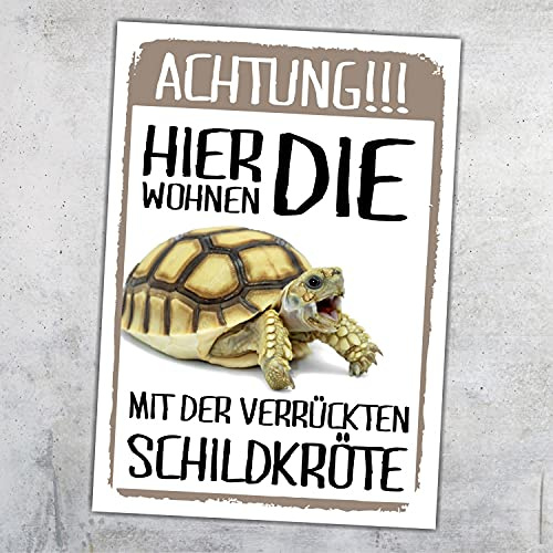 Siviwonder Metallschild 'Achtung Schildkröte hier wohnen' - Türschild, Gartenzaunschild, 20cm x 14cm x 0.3cm, Aluminium