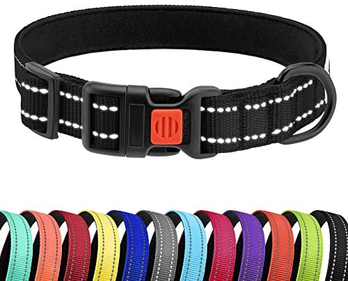 CollarDirect Reflektierendes Hundehalsband für kleinen, mittelgroßen, großen Hund, Welpen mit Schnellverschluss, Hündin, Rüde, 48 Sorten, Nylon Wasserfest