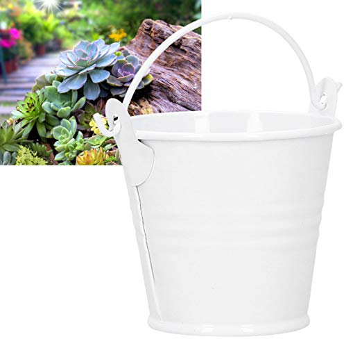 Qcwwy Petit Seau de Jardinage en Fer, Pot de Pot Succulent de 10 Pièces, Petit Seau en Métal pour Décoration Intérieure Extérieure, Pot de Fleurs, Mini Pot de Plantes Succulent 10 Pièces (Blanc)