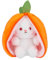 ENLACE Hasen Verstecken Plüsch, Hase Kuscheltier Plüschtiere Karotten, 18cm Weiches und Kuscheliges Plüschtier Hase Karotte, Kuscheltier Osterhase Geschenk für Jungen und Mädchen