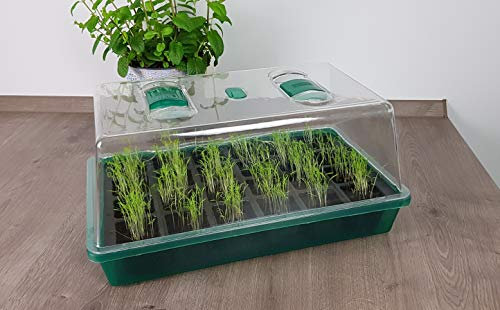 Gewächshaus für den Innen- oder Außenbereich Fensterbank indoor Mini-Gewächshaus Anzuchtschale Set