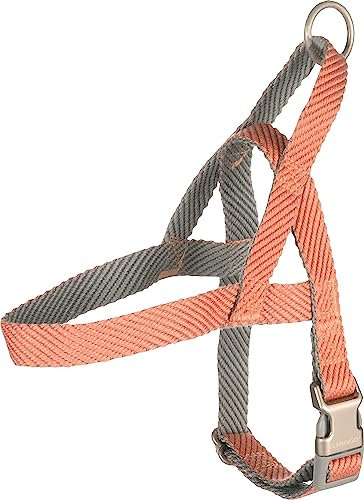 Norweger-Geschirr Elly LACHSROSA XS 35-45CM 15MM