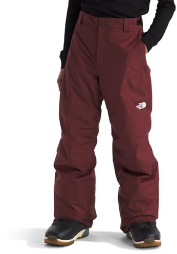 The North Face Boys' Freedom Insulated Pant | Waterproof Snow Pants for Ski & Snowboard, Ankle Gaiters, Adjustable Waist, Secure Zip Pockets, Sumac, Small