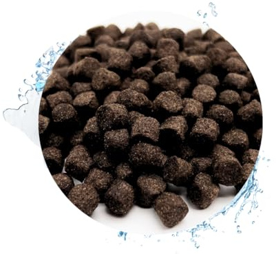 Warnick's Fischfutter Koifutter Winter sinkend 8 mm - 15 Liter | Herbst- & Winterfutter für Koi & Zierfische - Sinkend & leicht verdaulich bei niedrigen Temperaturen
