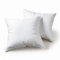 Flowen Kissen 65x65 Kopfkissen 2er Set für Sofa und Bett Innenkissen Hypoallergene Anti-Milben Kissenfüllung mit Weicher Gesteppter Kissenbezug Abnehmbarem und Waschbaren für Haus/Hotel