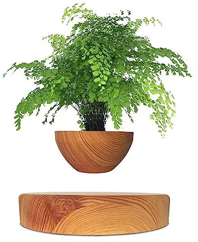 INLETTER Schwebender magnetischer schwebender Blumentopf, Bonsai, Luftpflanzentopf, Übertopf für Zuhause, Büro und Schreibtisch, Dekoration, Geschenk, A, 1