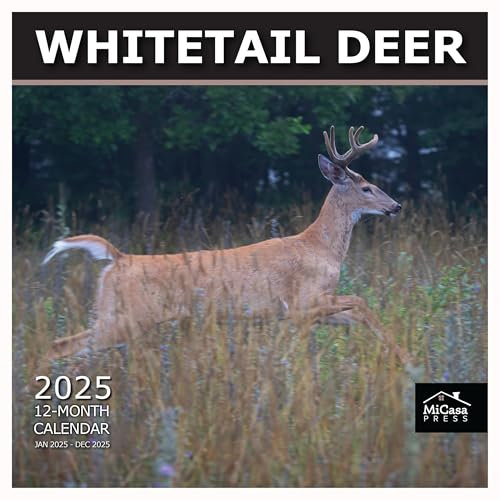 MICASA Weißschwanz-Hirsch 2025 Monats-Wandkalender zum Aufhängen, 30,5 x 61 cm offen, dickes und stabiles Papier, Geschenk, Tiere, Jagd, Wildtiere, Weißschwanz-Wunder