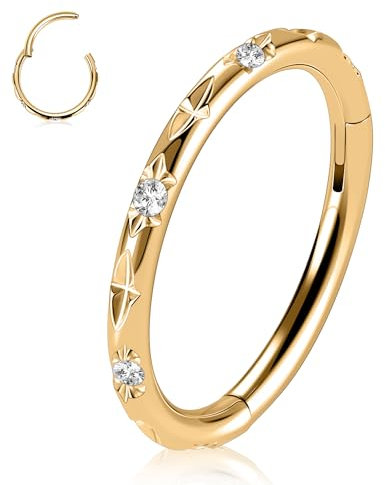 Septum Schmuck 16G Conch Daith Tragus Helix Piercing Schmuck 6mm Nasenringe Hoops Gold Septum Ringe Knorpel Ohrring Diamant Hoop Nasenring Cartlidge Schmuck Knorpel Hoop Ohrring Conch Hoop Ohrring