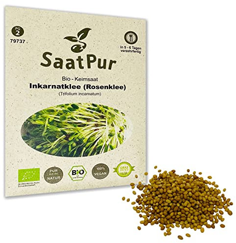 Inkarnatklee Rosenklee BIO Keimsprossen von SaatPur - Sprossen Keimsaat, Microgreen - 30g Klee