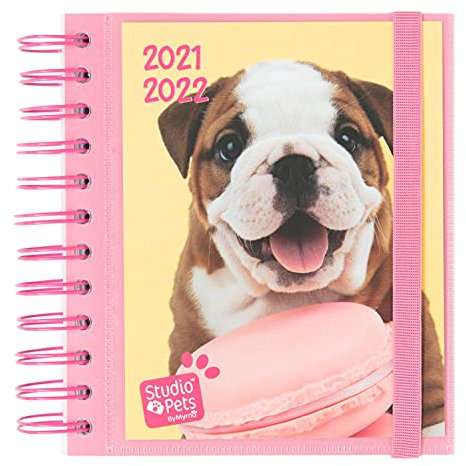 Grupo Erik Schulplaner 2021 2022 Studio Pets Hund - Ringbuch Kalender 2021-2022 - Terminkalender 2021 2022 Tagesplaner Terminplaner, ADPM2113, Gelb