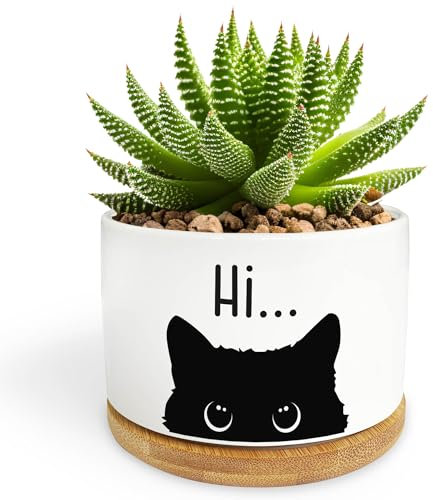 Vaso in ceramica a forma di gatto nero, grazioso vaso per piante grasse con drenaggio, contenitore in porcellana per fiori di cactus, decorazione per casa e ufficio, per amanti delle piante,