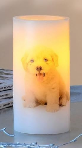 Luna24 simply great ideas... Dekorative LED-Kerzen im 2er-Set mit Welpenmotiv, Yorkshire Terrier, Golden Retriever, Beagle, flammenlos, batteriebetrieben. (Goldie)