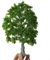 ZAMETTER Landscape Garden Model Tree Plastic Model Trees Green Artificial Trees Lifelike Imitation Landscape Tree Models