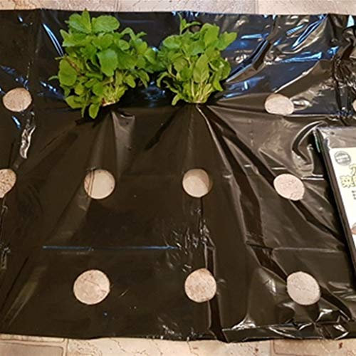 ZBORAVPIX Hochleistungs-Plastikfolie Mulch Film, 95 cm Breite PE-Mulchfolie, schwarz, Gewächshaus-Wärmedämmung, Unkrautverhütung, perforierte Folie(15 Meters)