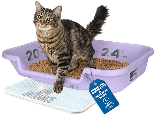 KittyGoHere Senior Cat Litter Tray Low Entry Comfortable Size Ideal for Elderly and Arthritic Cats, Made in USA, Lavender, Large, Pack of 1