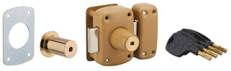 Verrou de Porte d'Entrée Vitrée SURVEYOR - Double Cylindre à Pompes 45mm - Plusieurs Protections de Sécurité - 4 Clés à Insert Laiton et Carte Personnelle - Made in France - Finition Dorée - THIRARD