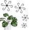 BEELUKY Lot de 16 Support pour Plantes Grimpantes Tuteur Plante Grimpante 4 Tailles Tuteurs pour Plantes Support pour Monstera Tuteur Plante Interieur pour Monstera Fleurs Roses Tomate (Noir)