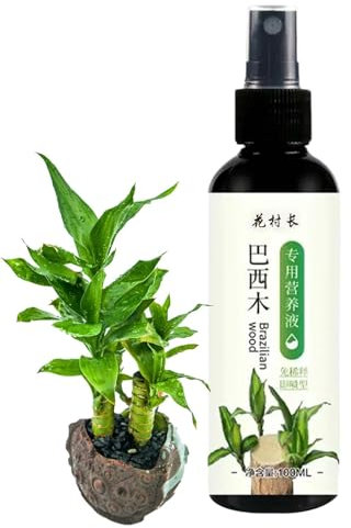 Fertilizzante di idrocultura in legno brasiliano | Soluzione nutritiva da 100 ml per il legno fortunato del Brasile, le piante da interno e l'idrocoltura, promuove una crescita sana e foglie forti