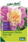 Anemonen-Dahlie 'Take Off', rosa, 1 Blumenknolle