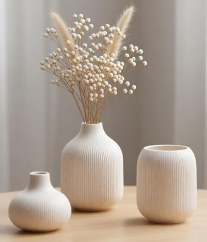 VASETOPIA Weiß Keramik Vase 3 Stück, Nordischer Boho Blumenvasen Home Decor für Pampasgras, Bücherregal, Flur (15 Weiß)