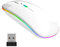 JADEMALL Souris Sans Fil Rechargeable - Bluetooth et USB pour iPad, Tablette, PC, Macbook, iOS/Android/Windows - Blanc