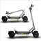 TRITTBRETT | E Scooter mit Straßenzulassung | Fritz 2024 | 500 W starker Motor | 60 km Reichweite | 150 kg Zuladung | 13,5 Ah Batterie