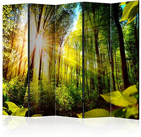 murando Raumteiler Foto Paravent Wald 225x172 cm beidseitig auf Vlies-Leinwand Bedruckt Trennwand Spanische Wand Sichtschutz Raumtrenner Design Bäume Natur Botanik Sonne b-B-0248-z-c