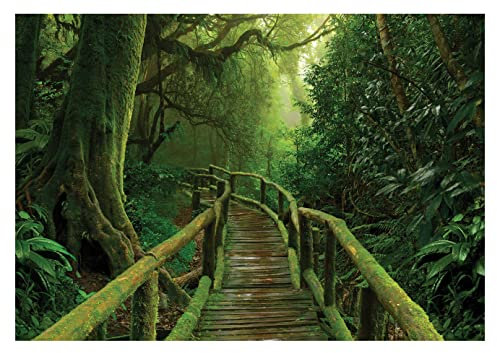 Fototapete Wald 3D Effekt Waldweg Brücke Bäume Dschungel Pflanzen - inkl. Kleister - für Wohnzimmer Schlafzimmer Flur Vlies Tapete Vliestapete Wandtapete Motivtapeten Montagefertig (254x184 cm)