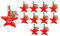 slkfactory 10 x 200 ml Stern Flaschen Glasflaschen Likörflaschen Schnapsflaschen Weihnachtsflaschen Weihnachten (10 x 200 ml)
