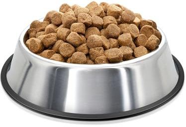 Flexzion Stainless Steel Dog Bowl No Mess Non Spill Dog Water Bowl Rubber Base Dog Bowls for Medium Sized Dog, Food and Water Dish, Pet Food Holder, 22 cm