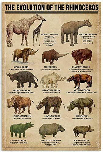 The Evolution of The Rhinoceros Knowledge, 30,5 x 20,3 cm, Vintage-Poster, Wanddekoration, Kunst, Geschenk, Retro-Bild, Metallschild