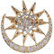 CCAIPU Brosche für Damen, Schmetterling Ballerina Strass Brosche Baum des Lebens Blatt Perle Broschen, Schmuck Geschenke für Frauen Mädchen (SternMond-Gold)