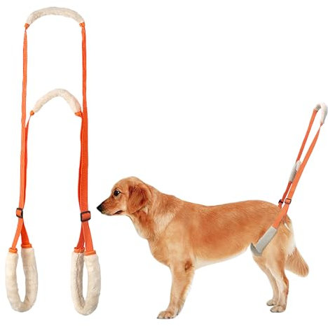 Hundegeschirr Grosse Hunde Gehhilfe mit Sicherheitsgurt - Tragehilfe für Kranke & Altere Hunde