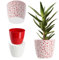 KADAX Blumentopf aus Kunststoff, ⌀ 11 – 21 cm, 5 Farben, einfacher Topf, robuster Pflanztopf, Pflanzkübel, runder Blumentopfschutz für Farn (⌀ 11cm, Rot)