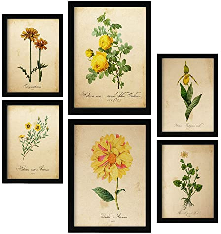 Nacnic Gelbe Blumen Postern. Vollfarbige Natur- und Botanikdrucke mit Blumenmotiven im Vintage Papier Stil. Innenarchitektur und Dekoration. A4 & A3 Schwarze Rahmen.