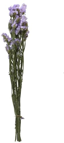 Kaemingk Trockenblumenbund Statice-Limmonium Hellblau Ø 14 cm 55 cm - Bund